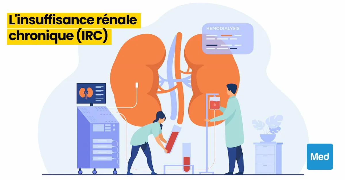 Comprendre l'Insuffisance Rénale Chronique : Symptômes, Causes et Gestion
